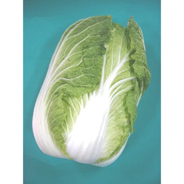 Amazon.co.jp: 日常の一般野菜 はくさい 白菜 1玉 : 食品・飲料・お酒